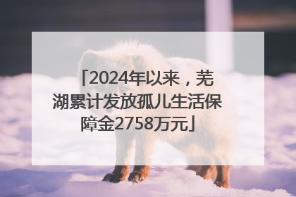 2024年以来，芜湖累计发放孤儿生活保障金2758万元