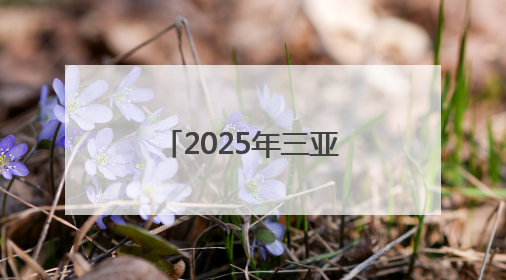 2025年三亚市文化惠民演出系列活动启动，露营音乐会浪漫开场