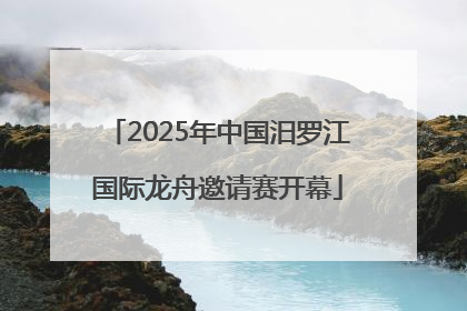 2025年中国汨罗江国际龙舟邀请赛开幕