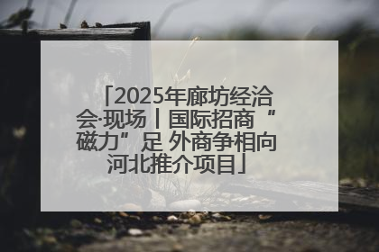 2025年廊坊经洽会·现场丨国际招商“磁力”足 外商争相向河北推介项目
