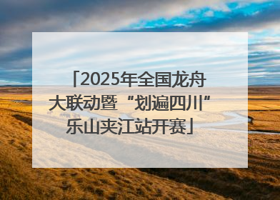 2025年全国龙舟大联动暨“划遍四川”乐山夹江站开赛
