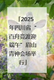 2025年四川省“百舟竞渡迎端午”眉山青神会场举行