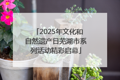 2025年文化和自然遗产日芜湖市系列活动精彩启幕