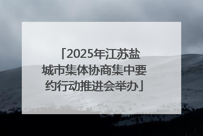 2025年江苏盐城市集体协商集中要约行动推进会举办