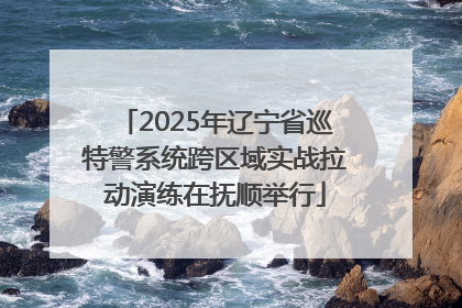 2025年辽宁省巡特警系统跨区域实战拉动演练在抚顺举行
