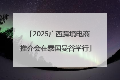 2025广西跨境电商推介会在泰国曼谷举行