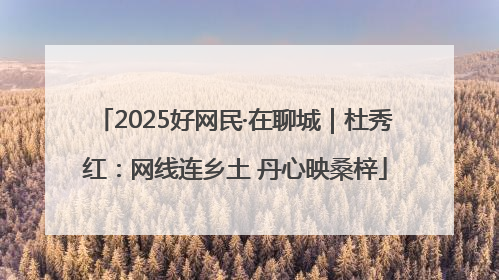 2025好网民·在聊城｜杜秀红：网线连乡土 丹心映桑梓