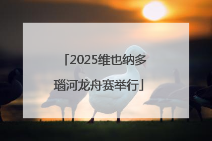 2025维也纳多瑙河龙舟赛举行