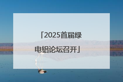 2025首届绿电铝论坛召开