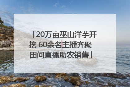 20万亩巫山洋芋开挖 60余名主播齐聚田间直播助农销售