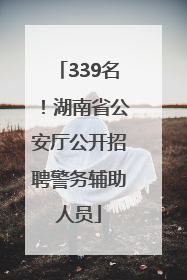 339名！湖南省公安厅公开招聘警务辅助人员