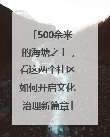 500余米的海塘之上，看这两个社区如何开启文化治理新篇章