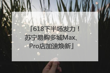 618下半场发力！苏宁易购多城Max、Pro店加速焕新