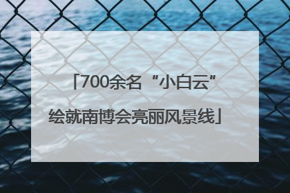 700余名“小白云”绘就南博会亮丽风景线