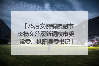 75后安徽铜陵副市长杨文萍履新铜陵市委常委、枞阳县委书记
