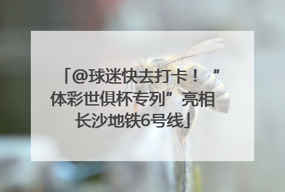 @球迷快去打卡！“体彩世俱杯专列”亮相长沙地铁6号线