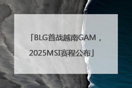 BLG首战越南GAM，2025MSI赛程公布