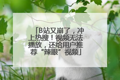 B站又崩了，冲上热搜！视频无法播放，还给用户推荐“辣眼”视频