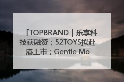 TOPBRAND｜乐享科技获融资；52TOYS拟赴港上市；Gentle Monster合作谷歌；Valentino传播官离职